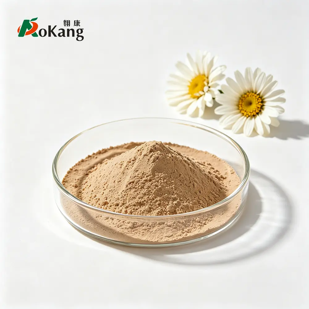 Chrysanthemum Powder